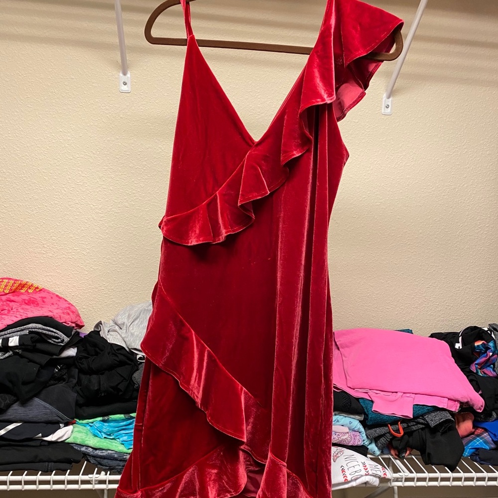Express velvet dress